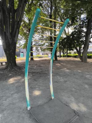 緑町中央公園のぶらさがり - タカオ (写真は問い合わせフォームでいただいたもの。2026.10.16)